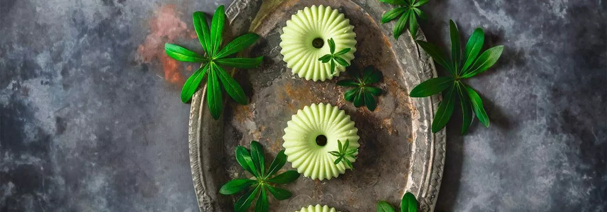 Ich weiß noch wie enttäuscht ich war, als ich das erste Mal ein Dessert mit natürlichem Waldmeister bei Freunden gegessen habe. Ich war bis dahin nur den chemischen Waldmeistergeschmack von Wackelpudding, Sirup und Co. gewöhnt. Mittlerweile liebe ich den natürlichen, süßen Geschmack von Waldmeister sehr und kann nicht einmal beschreiben, nach was er eigentlich schmeckt. Ist auch egal, lecker muss es sein. Aber ich hab auch munklen gehört, dass Waldmeister sehr betörend sein soll. Dieses Jahr wächst der Waldmeister bei uns im Wintergarten und ich musste mich erst einmal informieren, wie der gute Herr Meister gerne wohnen und geerntet werden will. Viel wichtiger war aber, wie er zubereitet werden muss. Gepflückt verwelkt Waldmeister ziemlich schnell, was dem Geschmack zu Gute kommt, denn erst angewelkt verströmt er seinen leckeren Duft. Verrückt.