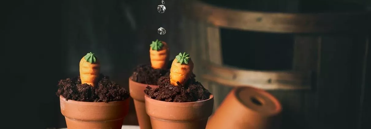 kleine Karottenkuchen in Mini Tontöpfen